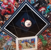 Stan Lee Signed Baseball